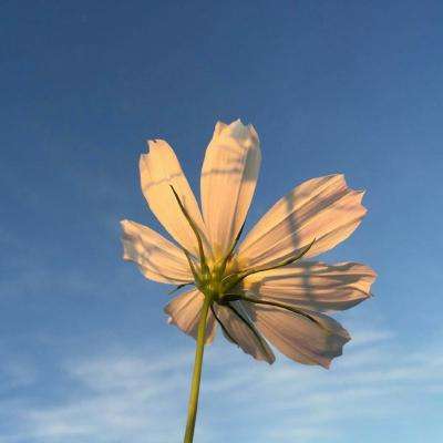 丰禾棋牌app下载