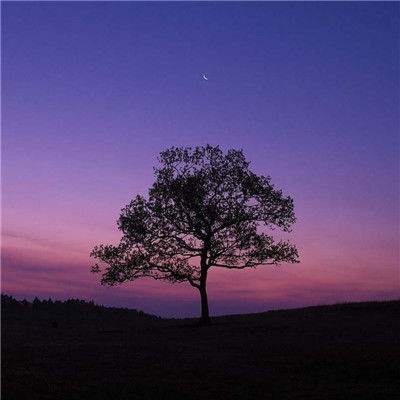 丰禾棋牌app下载